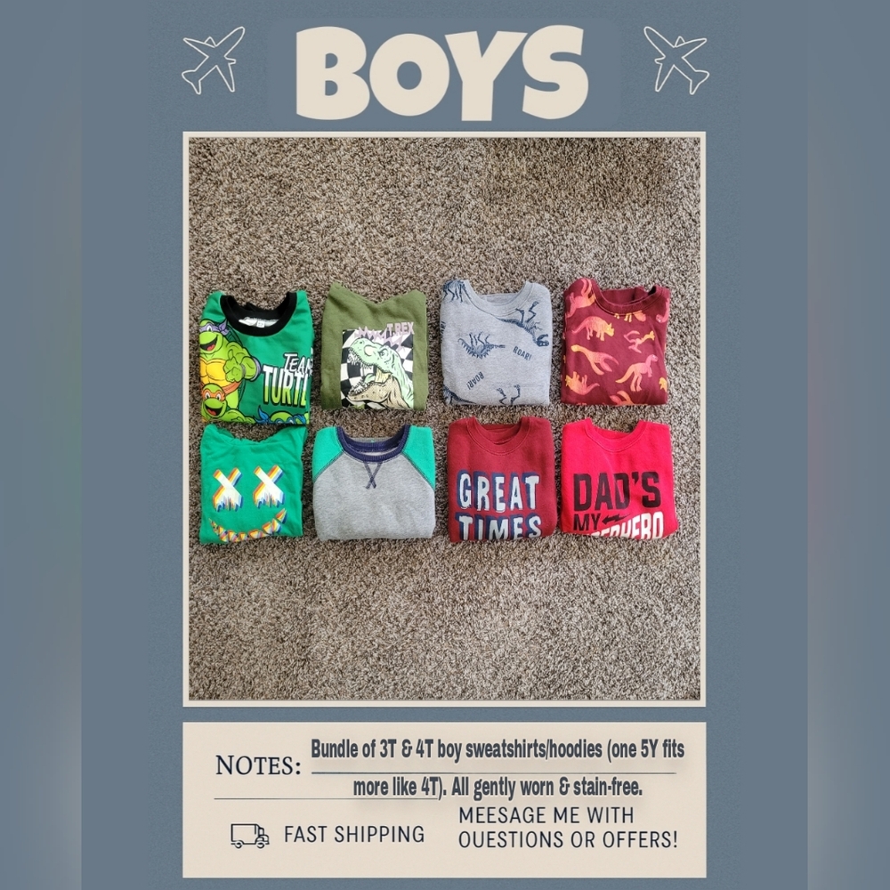 Bundle of toddler boy sweatshirts/hoodies (3T/4T)